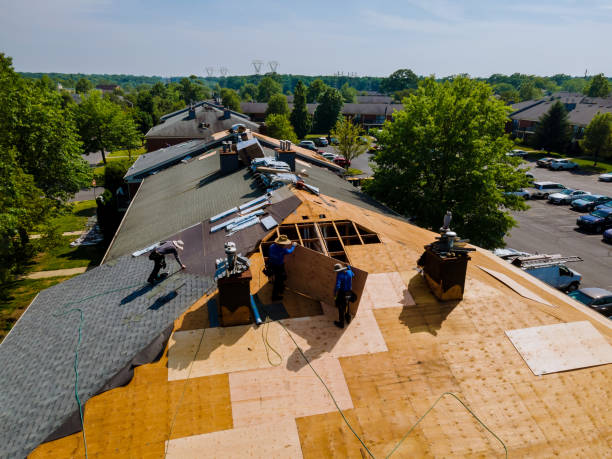 Best Storm Damage Roof Repair  in Columbus, KS