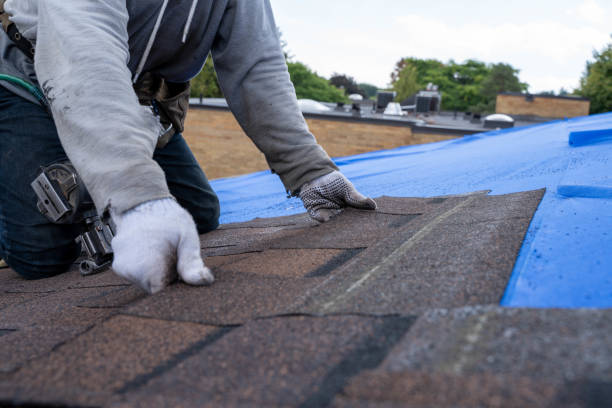 Best Roof Restoration Services  in Columbus, KS