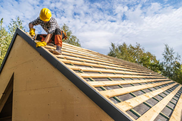 Best Roof Gutter Cleaning  in Columbus, KS